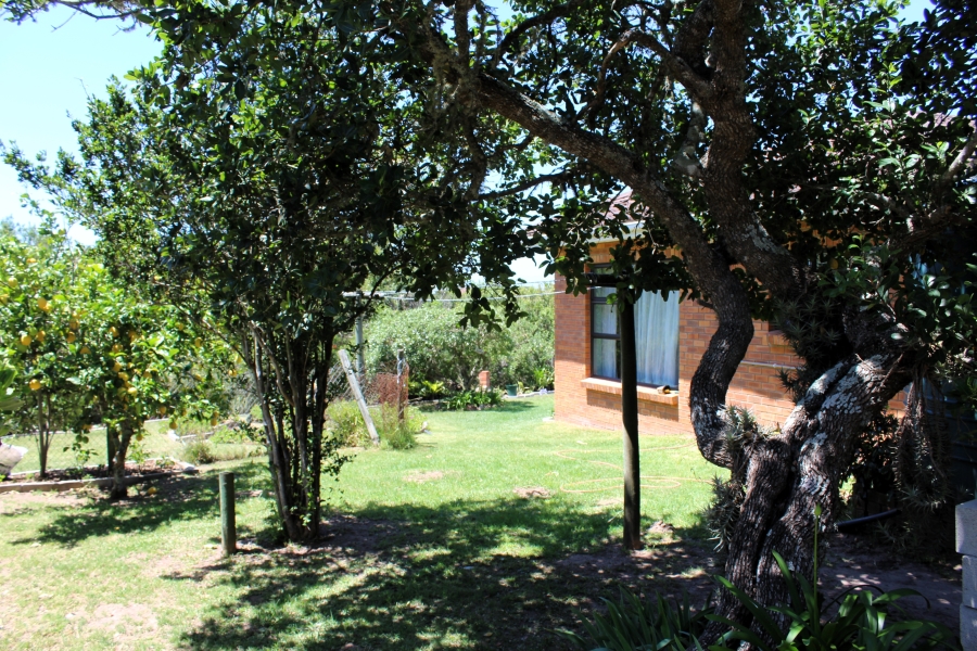 3 Bedroom Property for Sale in Kleinemonde Eastern Cape